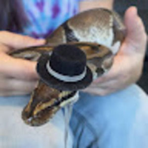 Meet your Posher, Heather